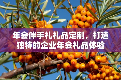 年会伴手礼礼品定制，打造独特的企业年会礼品体验