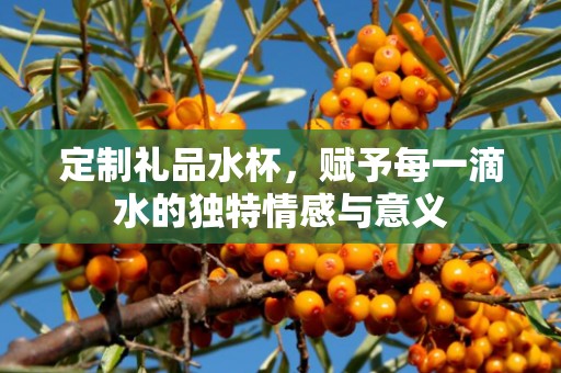 定制礼品水杯，赋予每一滴水的独特情感与意义